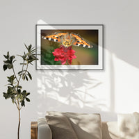 PBP120W080
