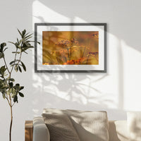 PKP060W040