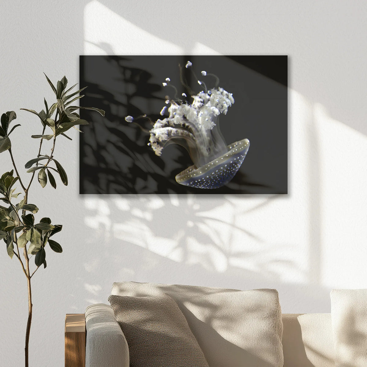 LW-075W050