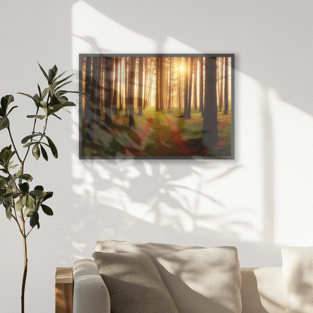 PK-093W062