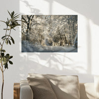 PO-030W020