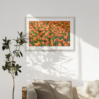 PNP100W070