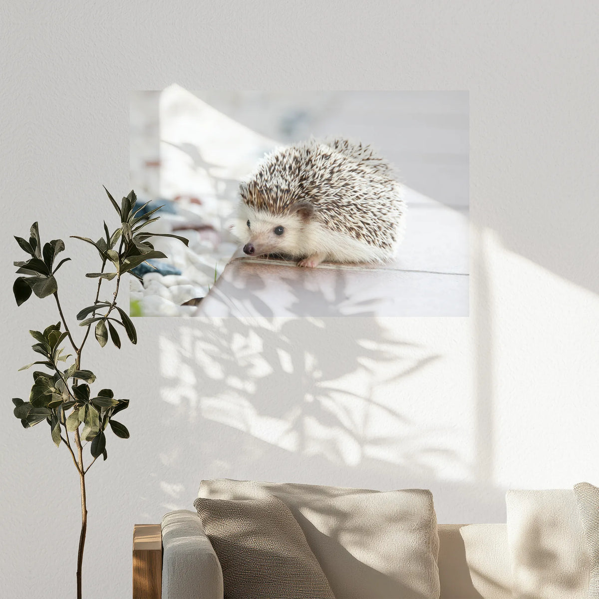 PO-120W080