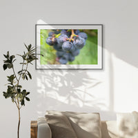 PBP120W080