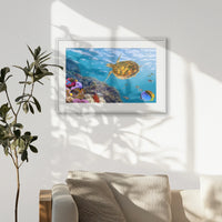 PWP093W062