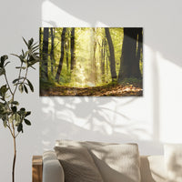 AC-075W050