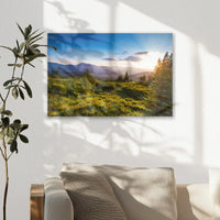 AL-030W020