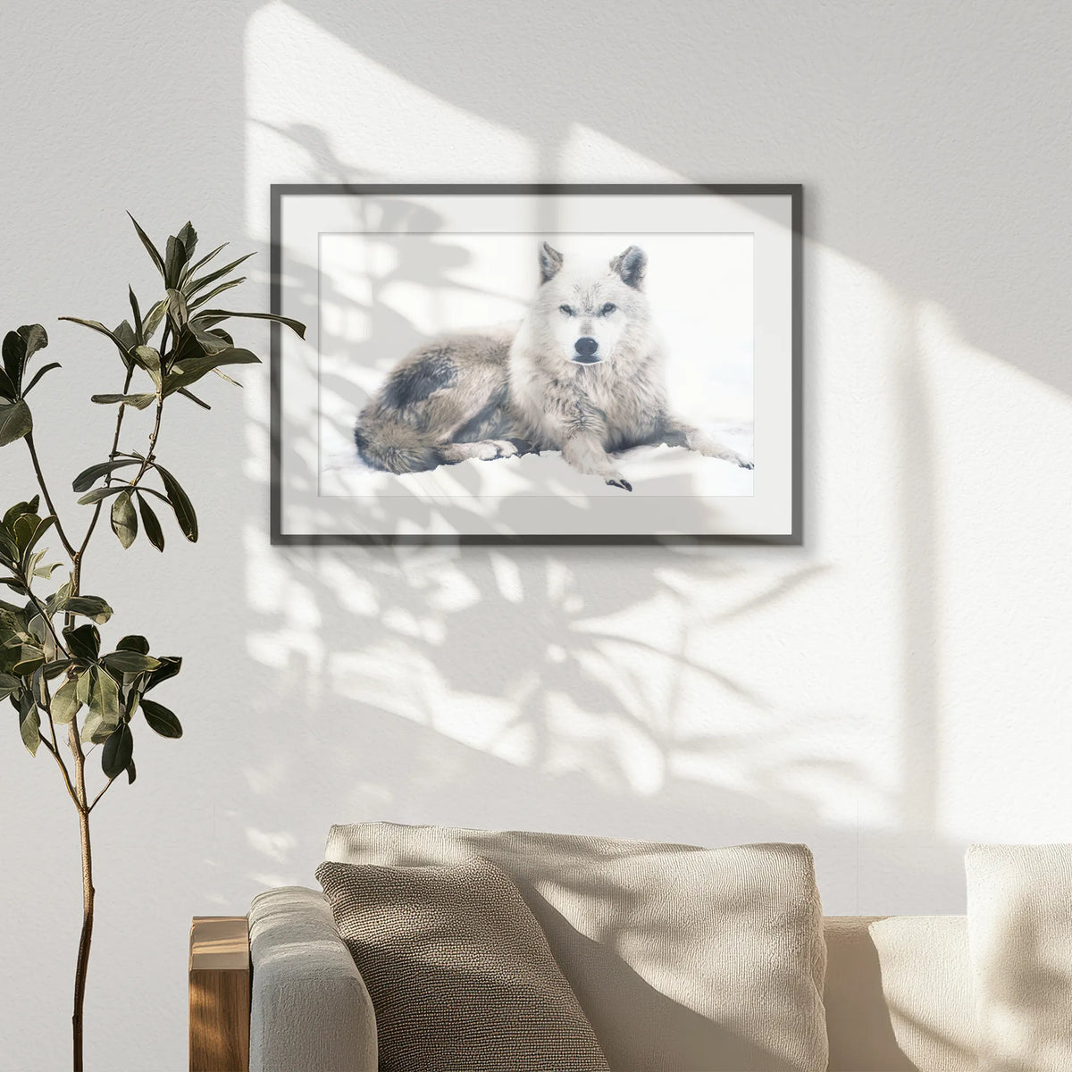 PKP093W062