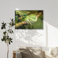 PB-100W070