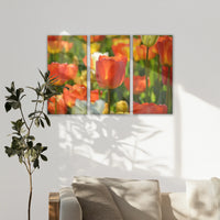 LW-120R080