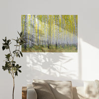 PO-120W080