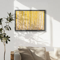 LWB060W040