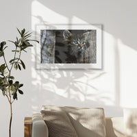PSP093W062