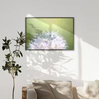 LWN120W080