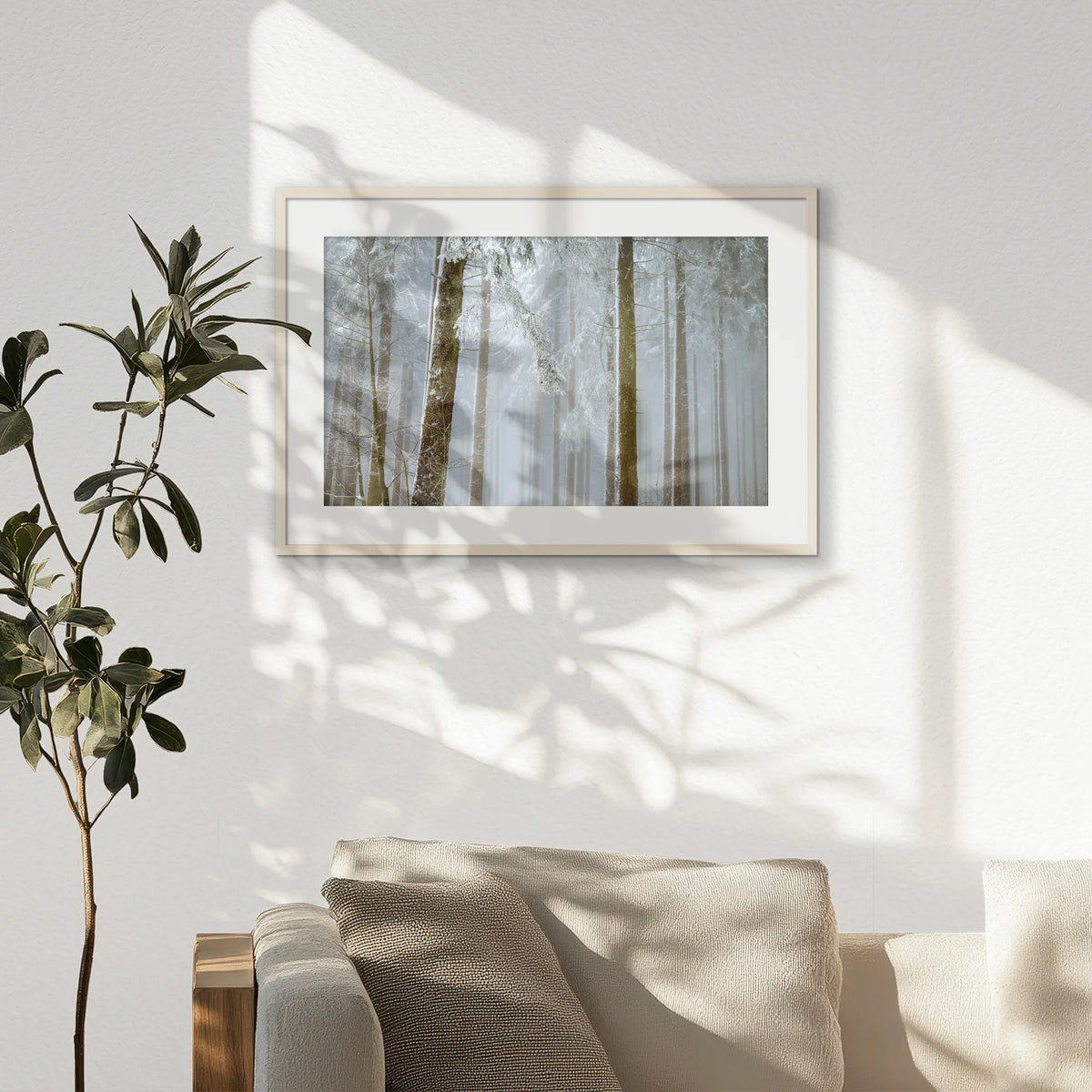 PNP093W062