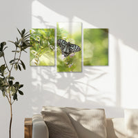 AC-090T060