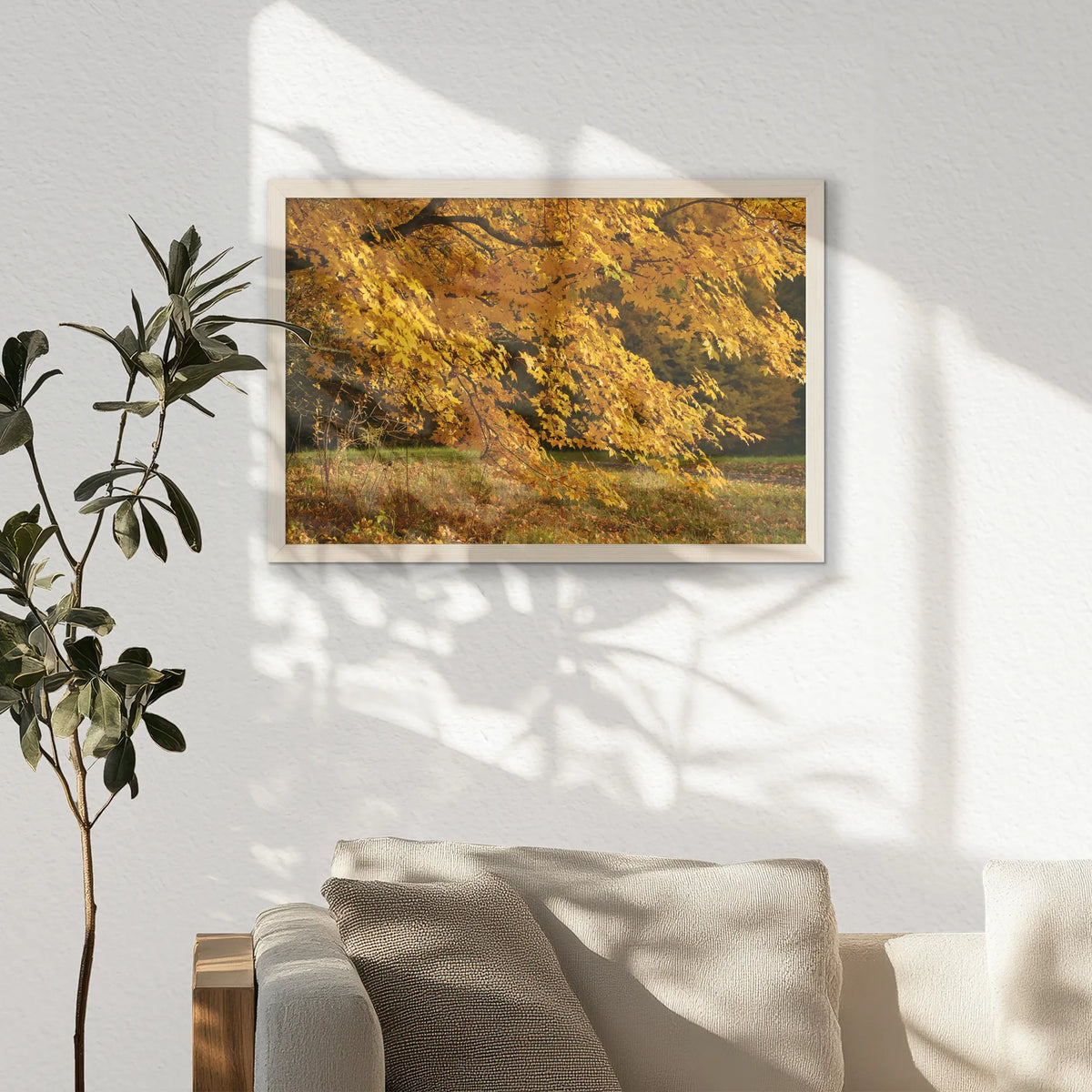 PN-060W040