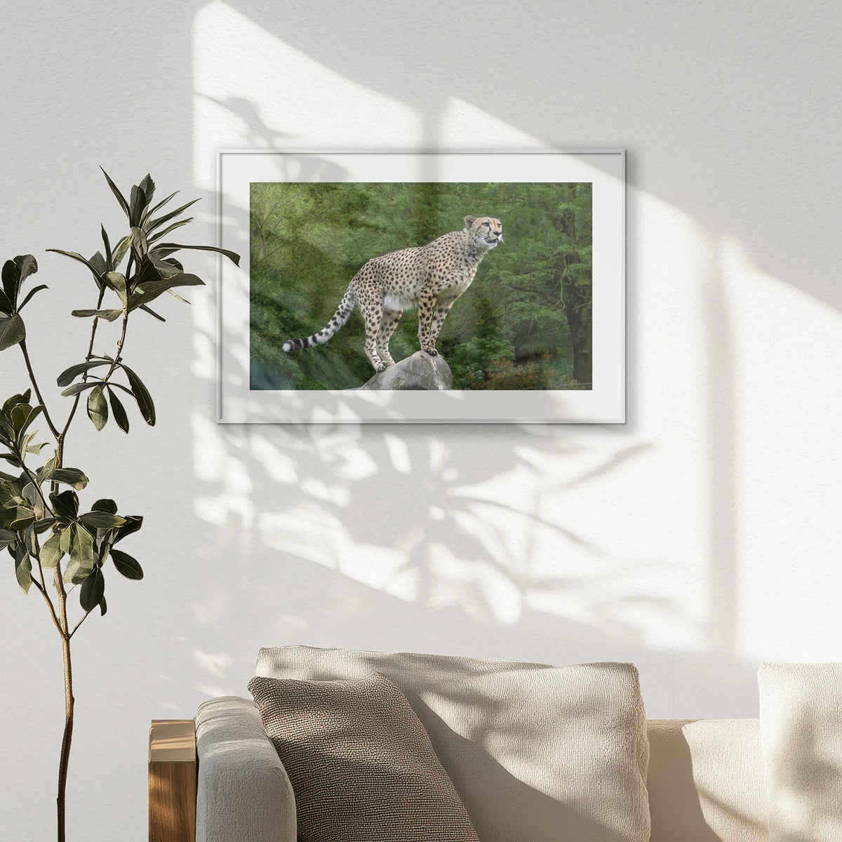PSP093W062