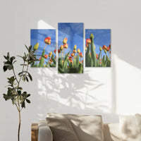 AC-120T080
