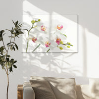AC-075W050