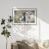 PBP100W070