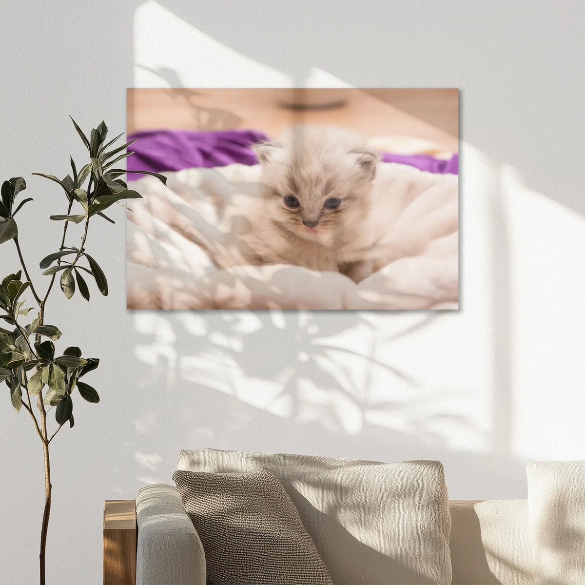 AC-075W050