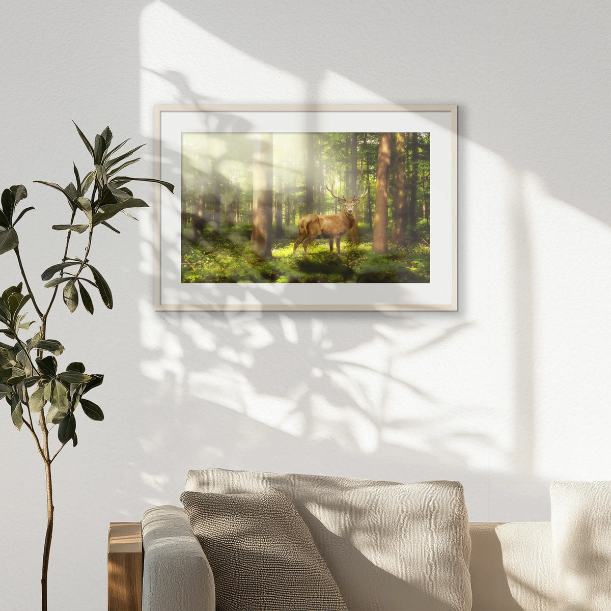 PNP093W062