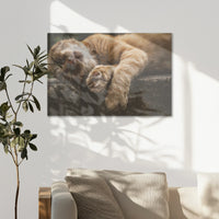 AL-090W060