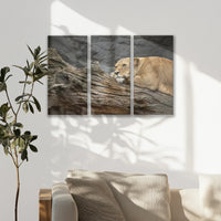 LW-090R060