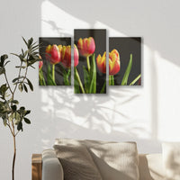 LW-060T040