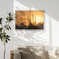 PN-093W062