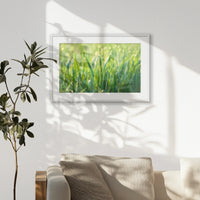 PWP093W062