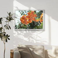 LWW060W040