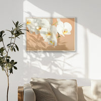 PN-093W062