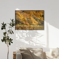 LWN120W080