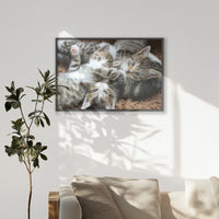 PK-100W070
