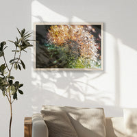 PN-060W040