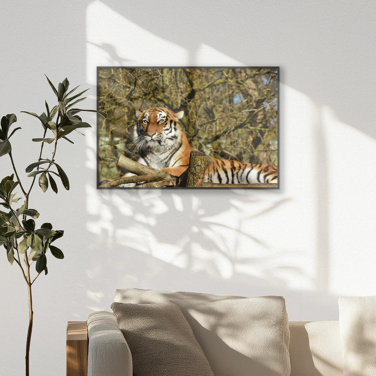 PB-093W062