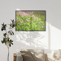 LWN100W070