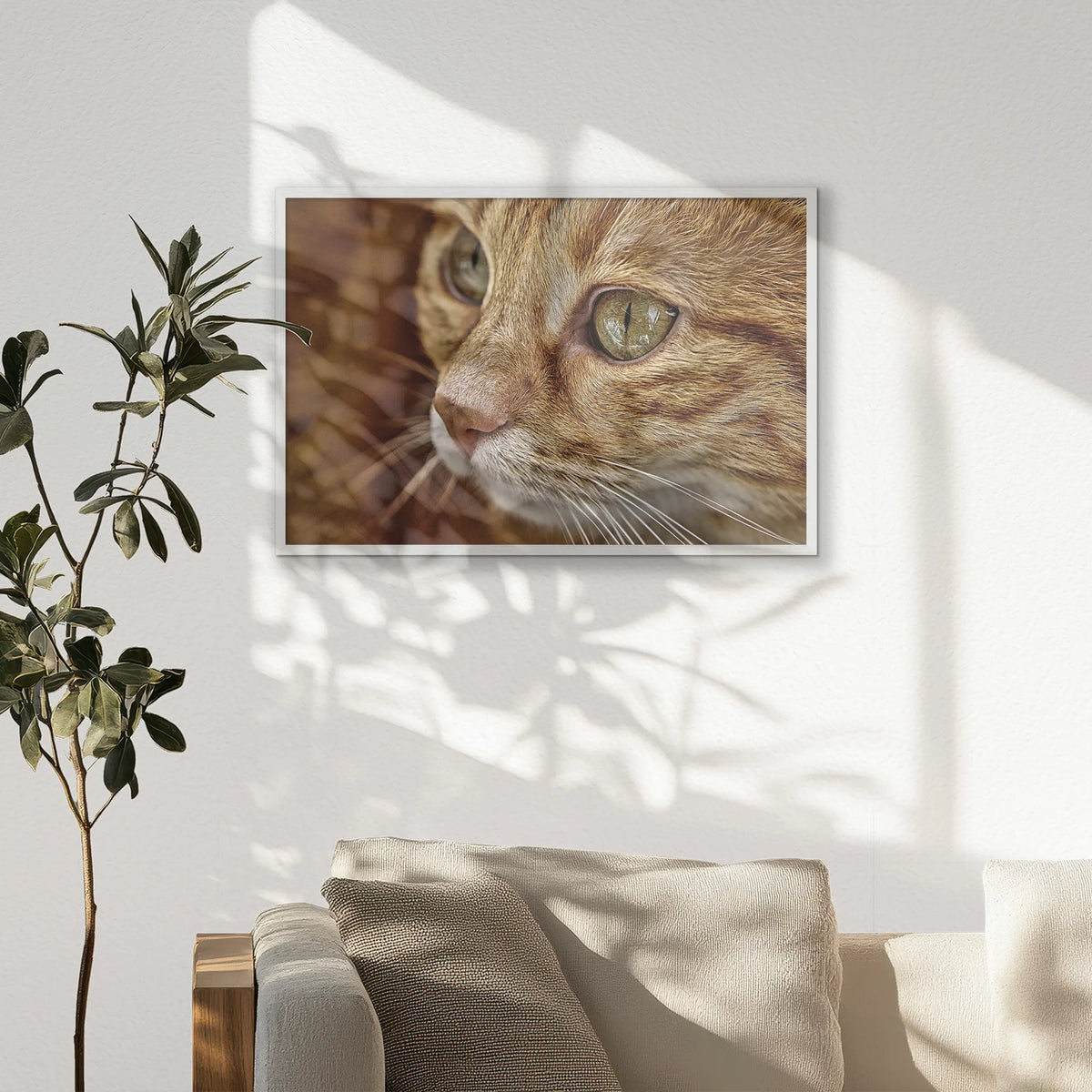PW-093W062