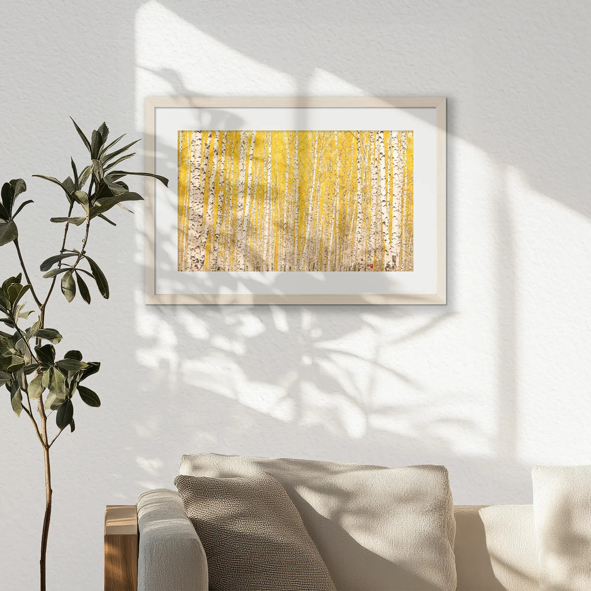 PNP060W040
