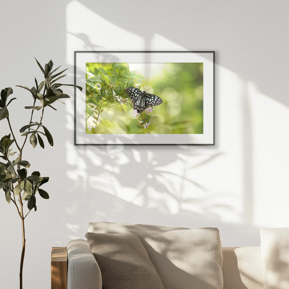 PBP093W062