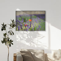 PB-100W070