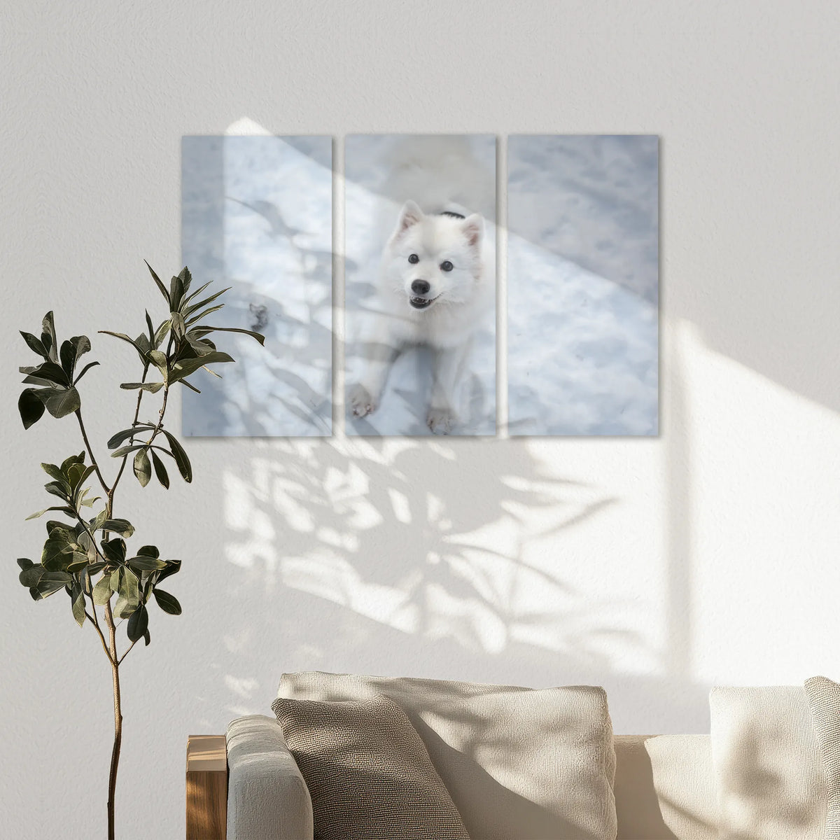 AC-120R080