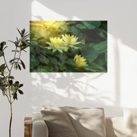 PO-075W050