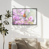 PK-093W062