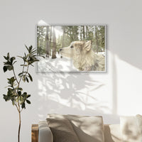 PW-100W070